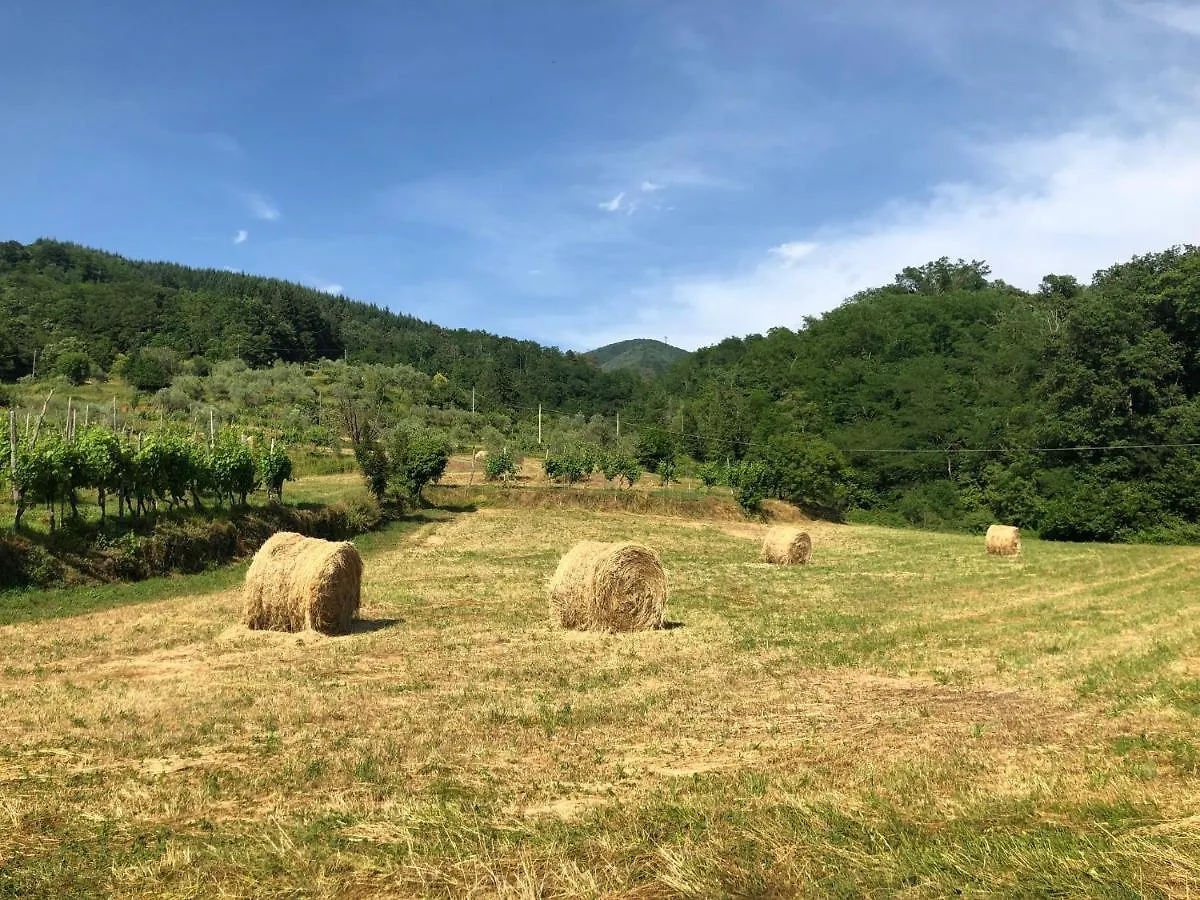 Appartamento Lunigiana Experience Pontremoli 0*,  Italia
